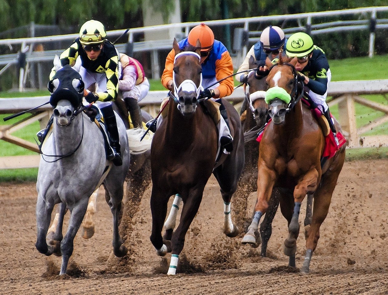 The Most Prestigious Horse Races in the World Netung