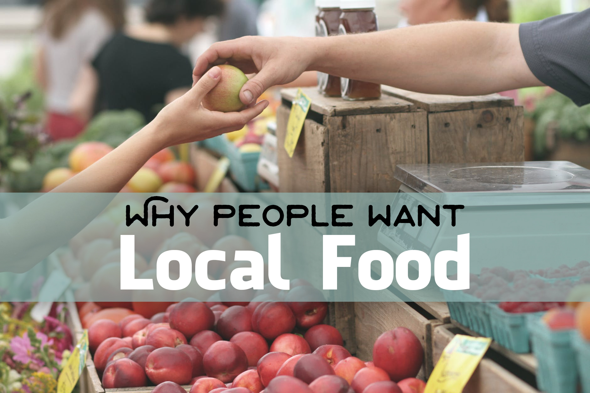 Locally Sourced Food Can Increase Restaurant Sales NetWaiter