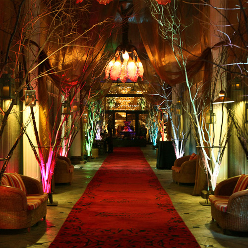 Enchanted Cypress NETWORTECH