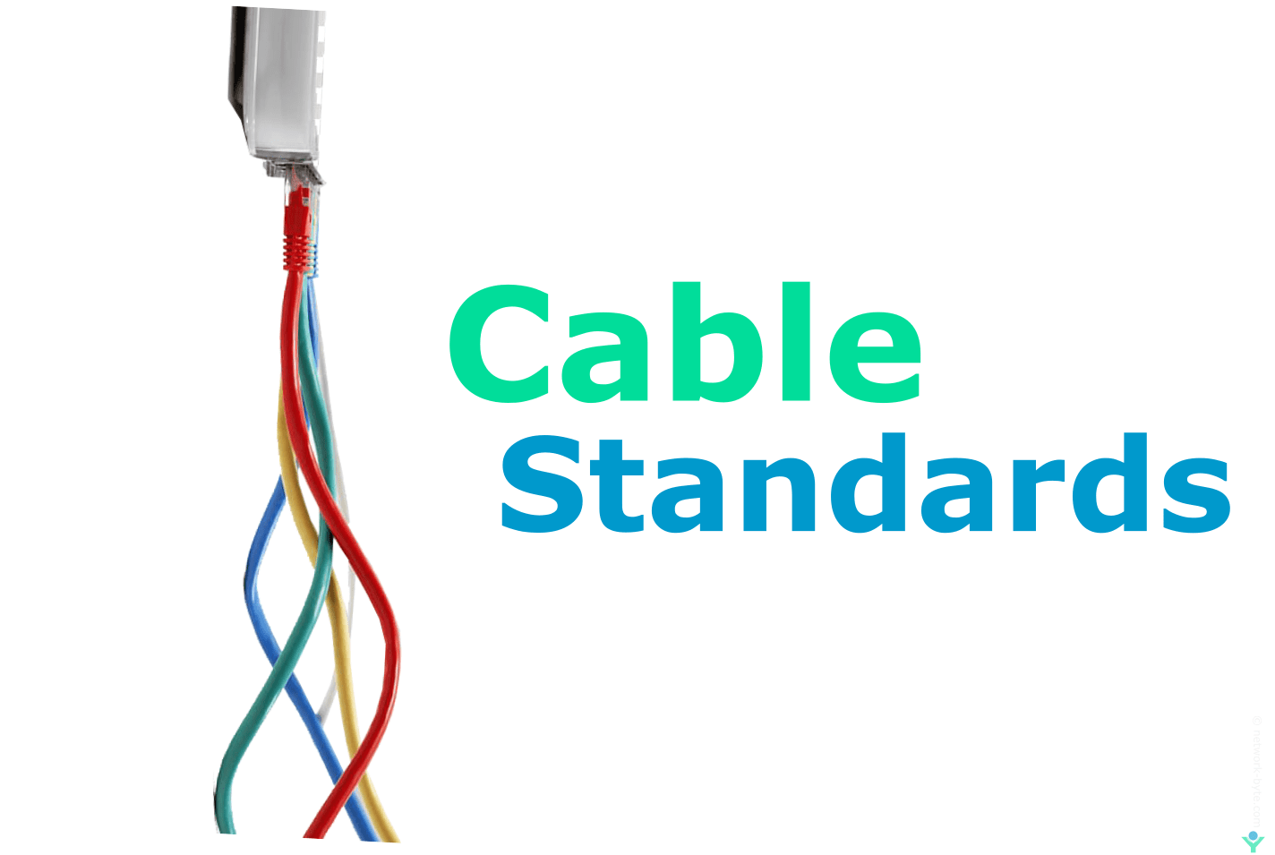 Cable Standard NetworkByte