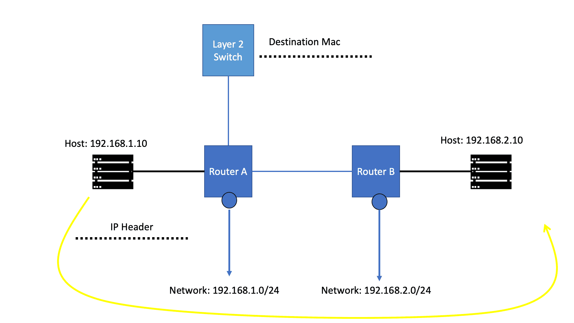 IP Forwarding and Routing Protocols