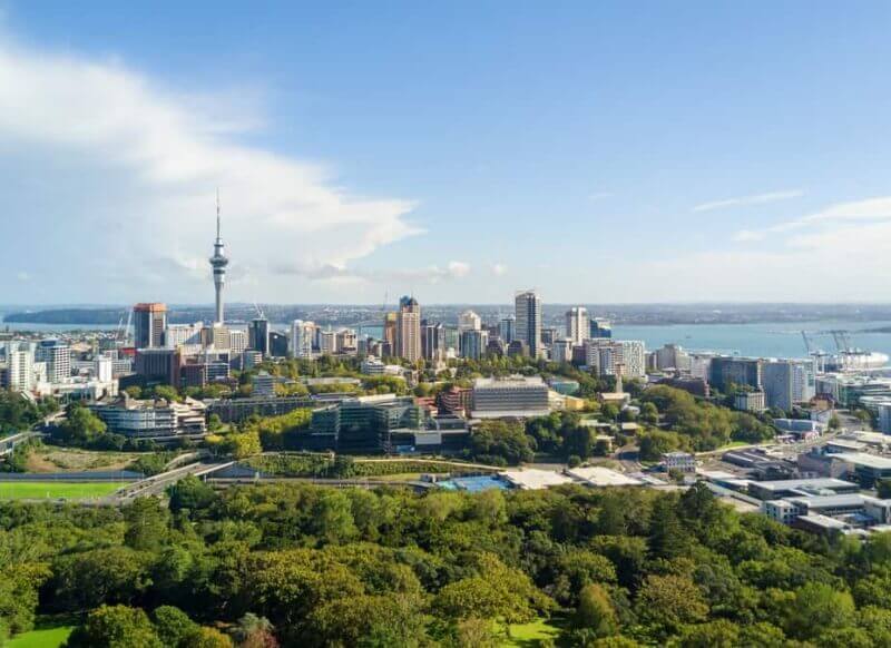 NETWORK Work & Study Nueva Zelanda