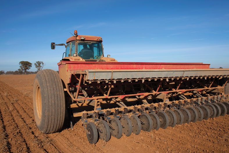 A Guide to Planting Winter Wheat in Texas