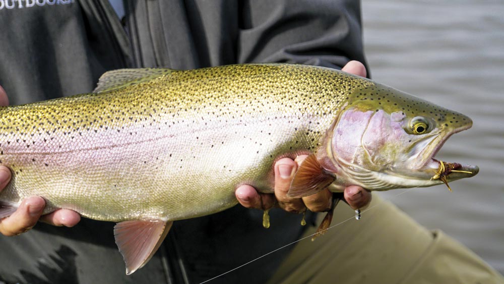 A Labor of Love Wyoming's Chugwater Creek Ranch