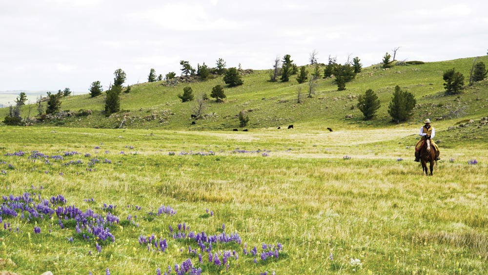 A Labor of Love Wyoming's Chugwater Creek Ranch