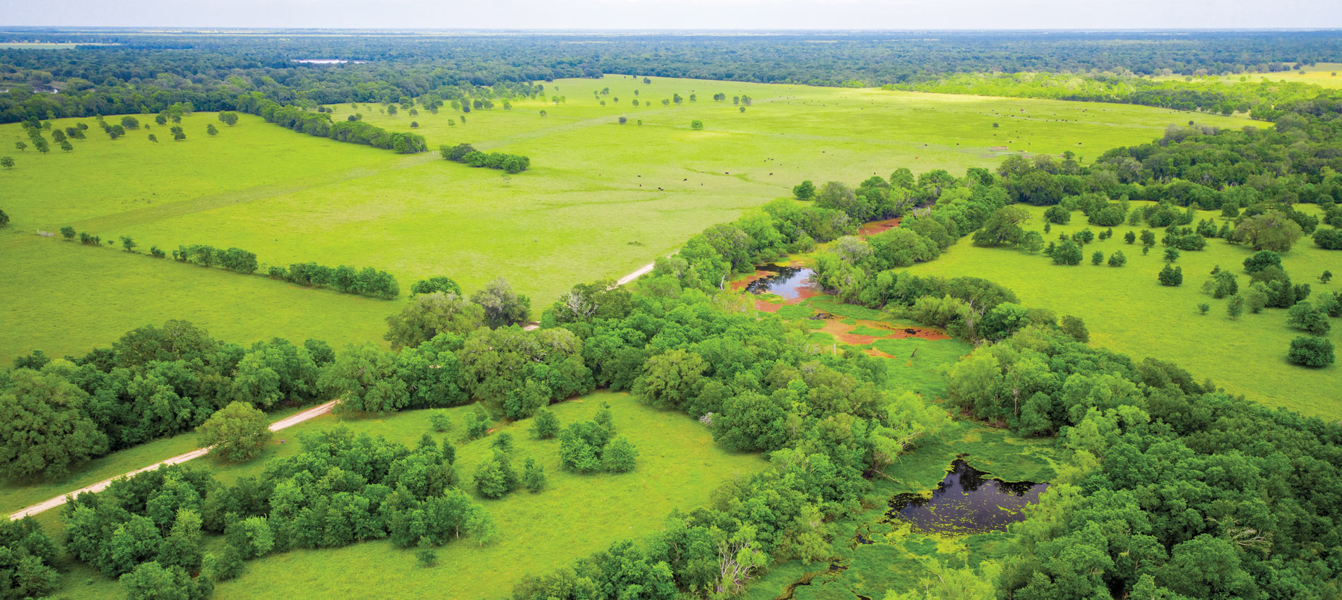 Featured Listing San Bernard River Ranch