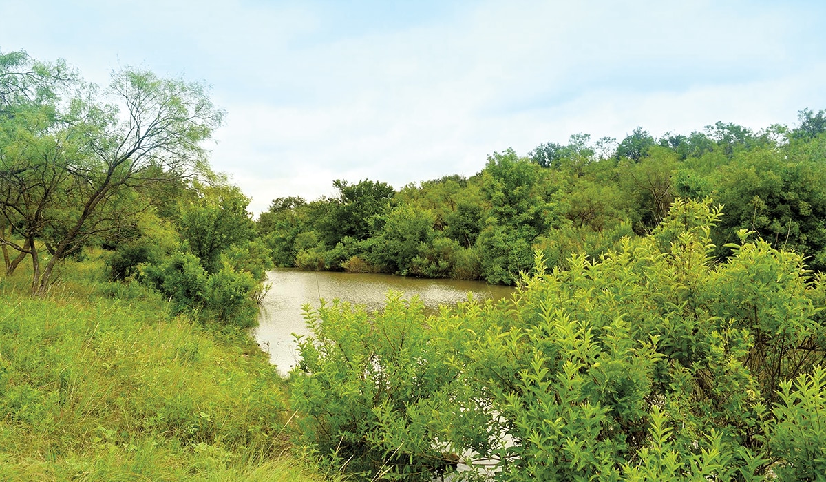 Featured Listing Honey Creek Ranch