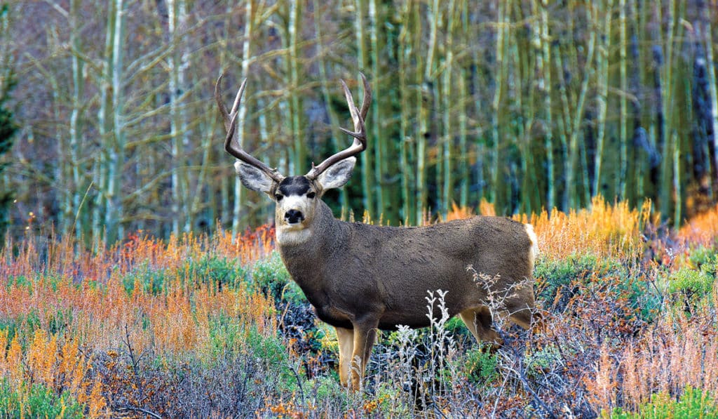 On the Cover Bar J Ranch