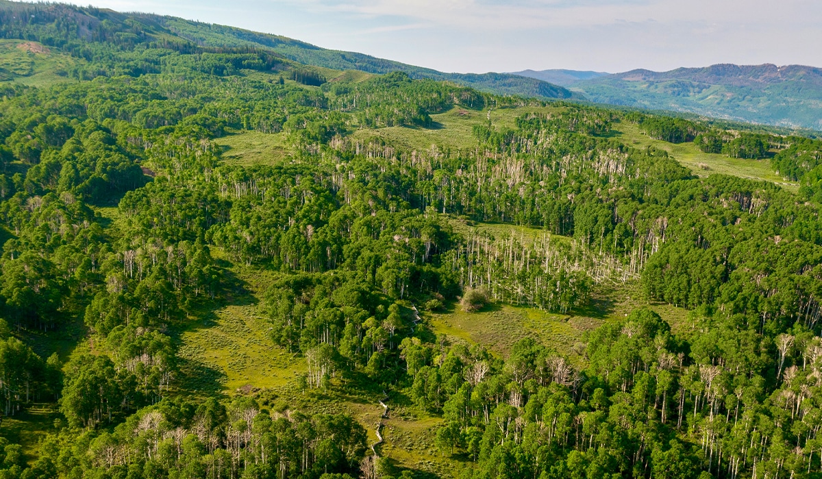 On the Cover Bar J Ranch