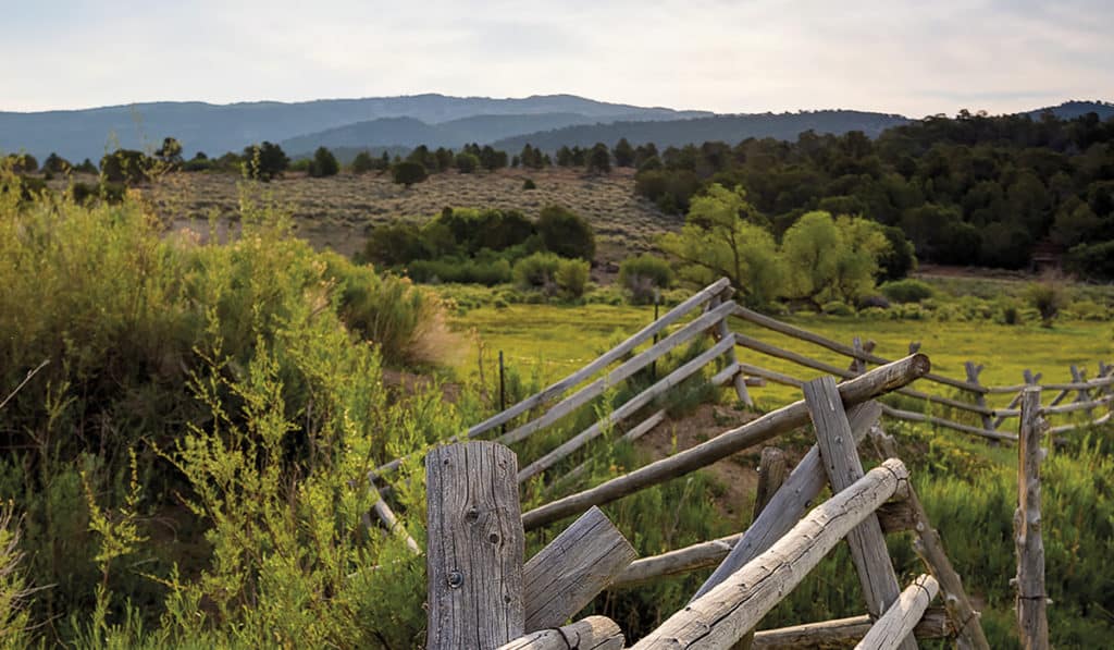 On the Cover Bar J Ranch