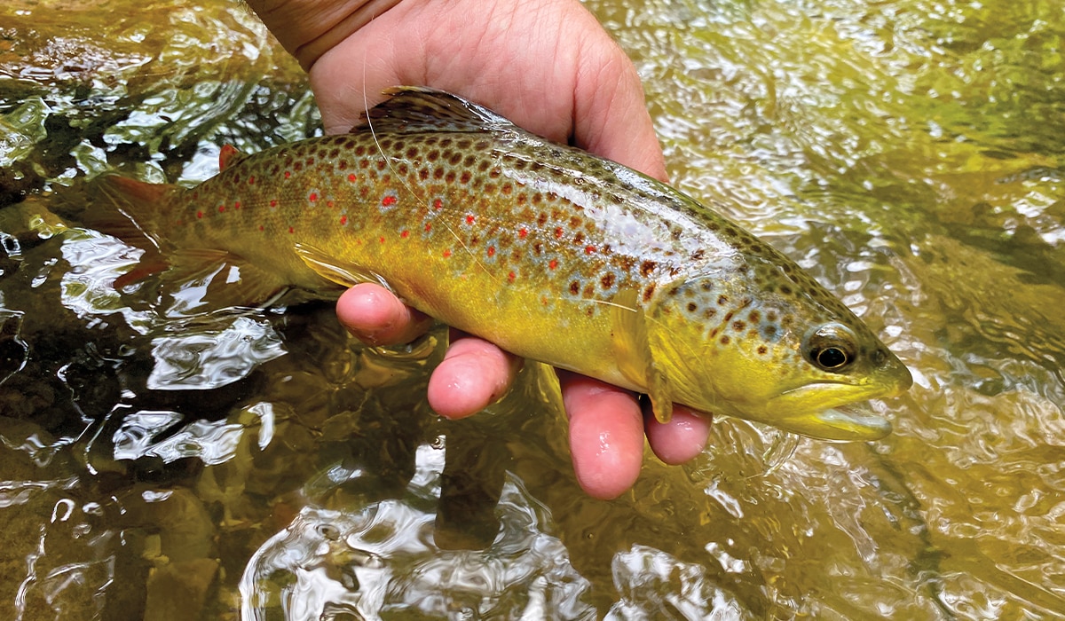 On the Cover Bar J Ranch