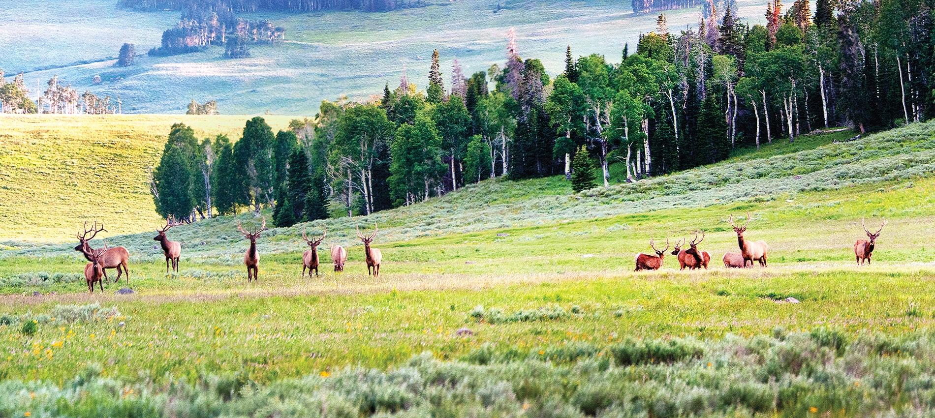 On the Cover Bar J Ranch
