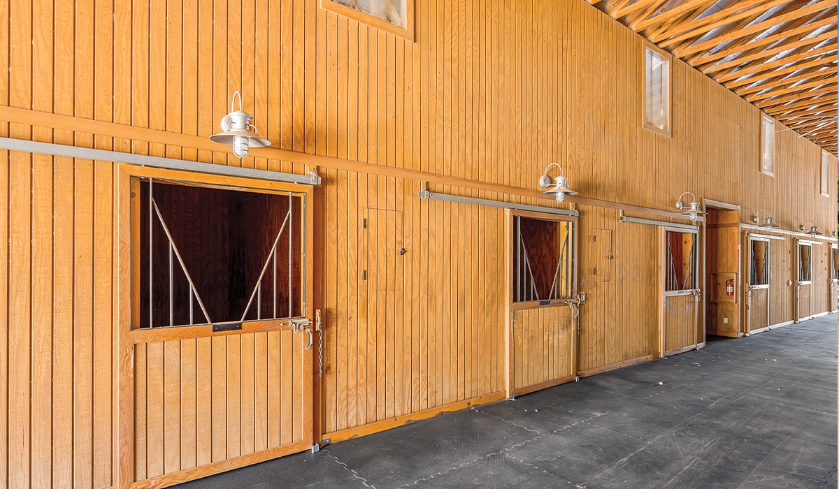 Featured Listing Lone Star Ranch