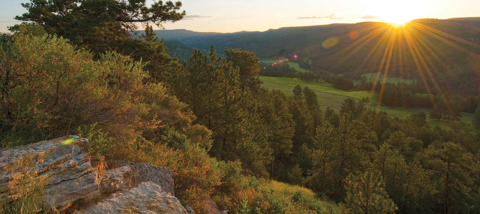 Featured Listing Wyoming Black Hills