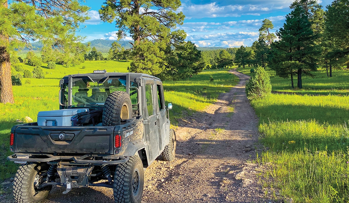 Beaverhead Ranch Group