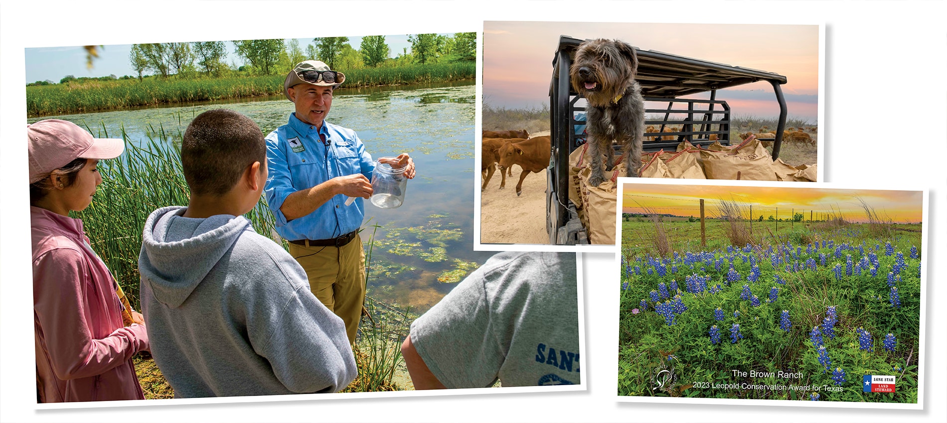 Lone Star Land Steward Awards