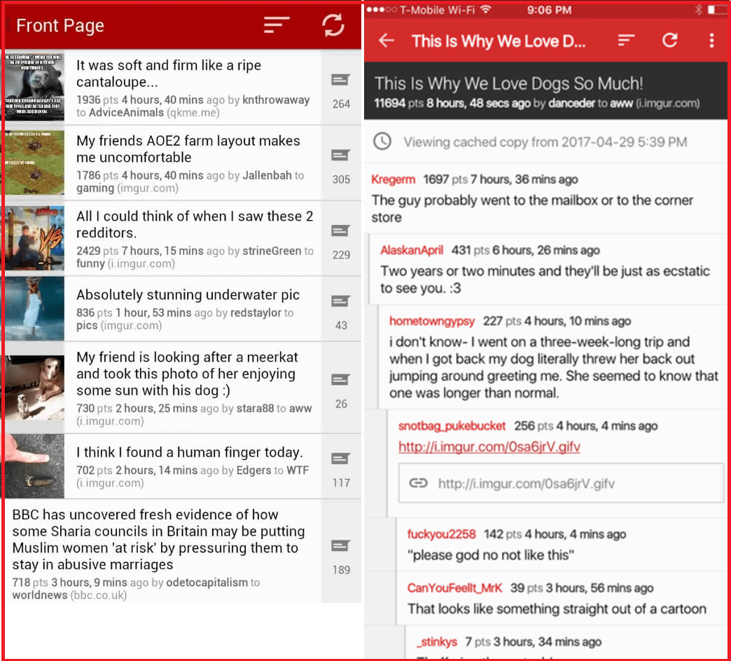 Top 5 Reddit Is Fun Alternatives NetworkBuildz
