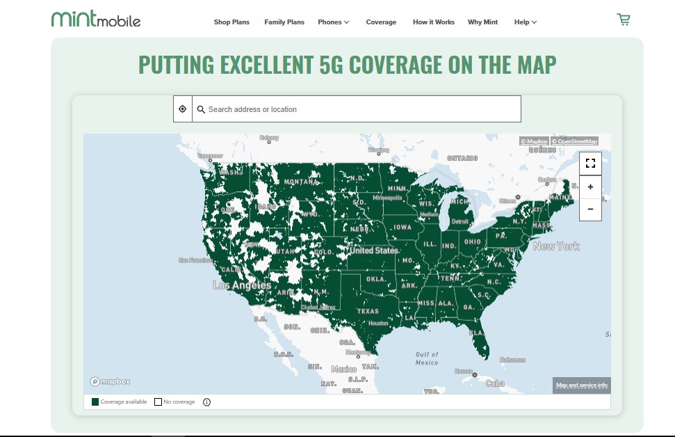 How To Fix Mint Mobile Voicemail Not Working NetworkBuildz