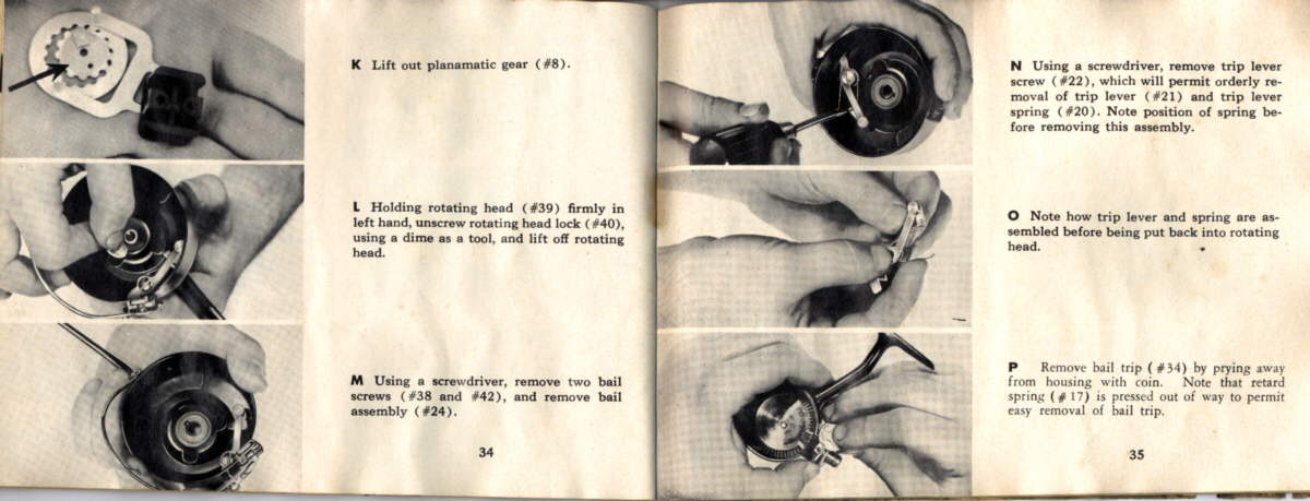 GarciaMitchell306info