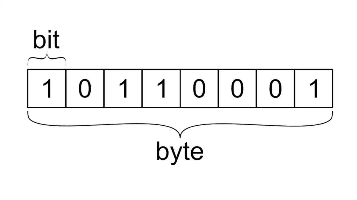 Understanding the Relationship between Bits and Bytes
