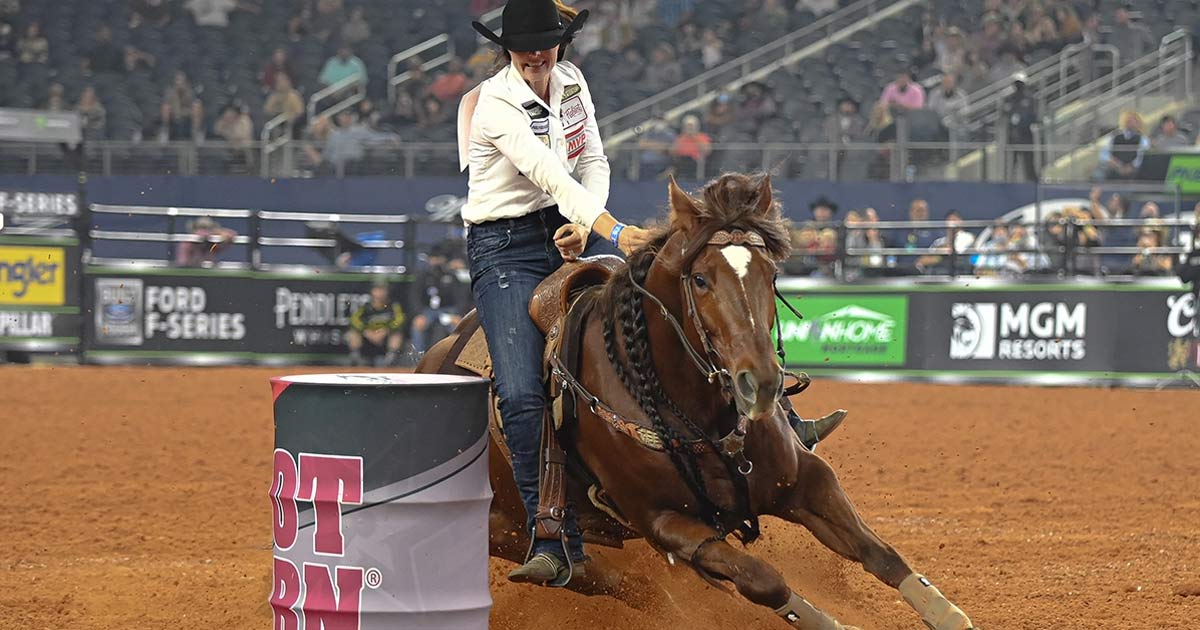 Nbha Super Show 2023 Nbha Professional's Choice Super Show