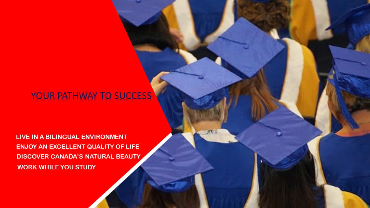 Study In Canada Network Law Offices I Global Immigration and Visa Consultants, India I Network