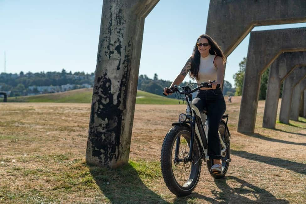 Best Fat Tire Electric Bike for the Elderly » NetworkUstad