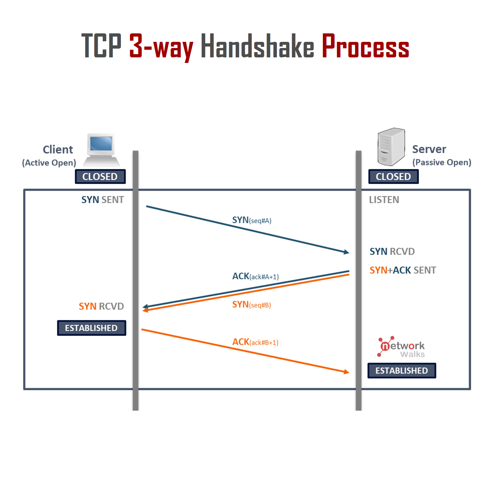 TCP 3-way Handshake Process - Networkwalks Academy