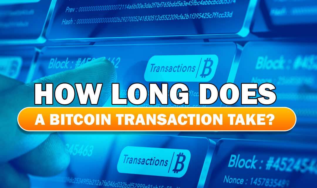 How Long Does a Bitcoin Transaction Take? NetWorth Net Worth
