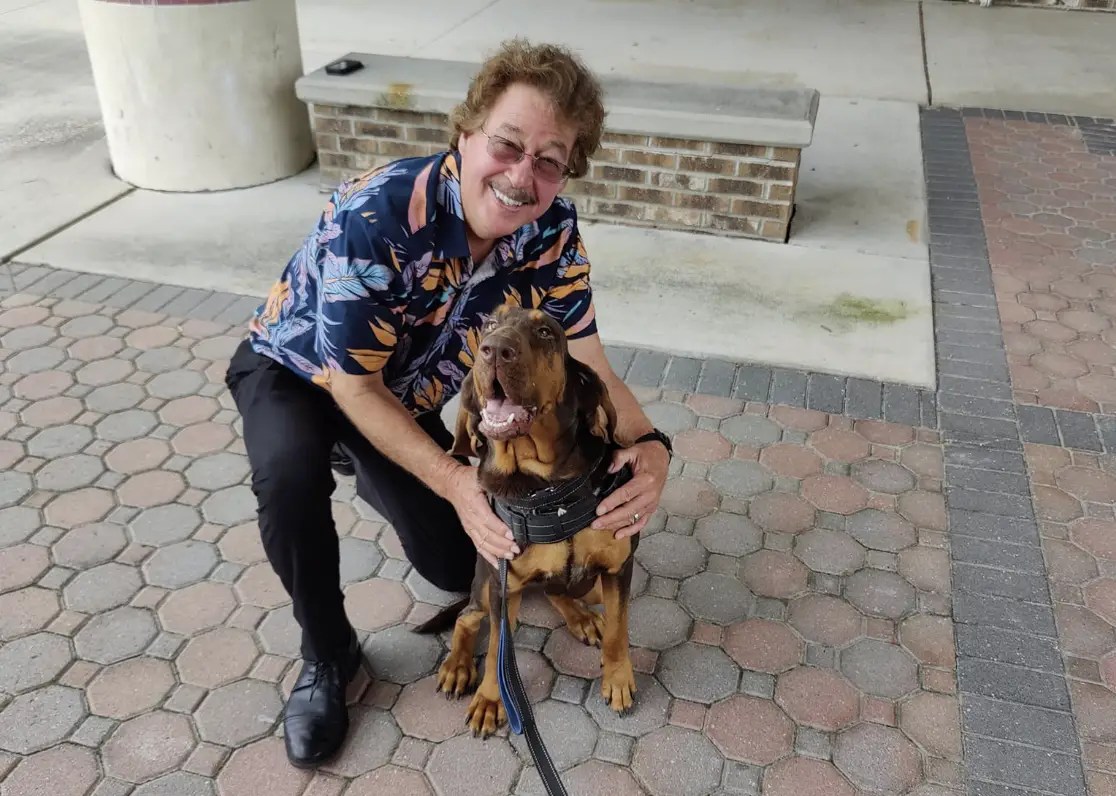 Who Is Farah Merhi? Wikipedia, Husband, & Net Worth (2025)