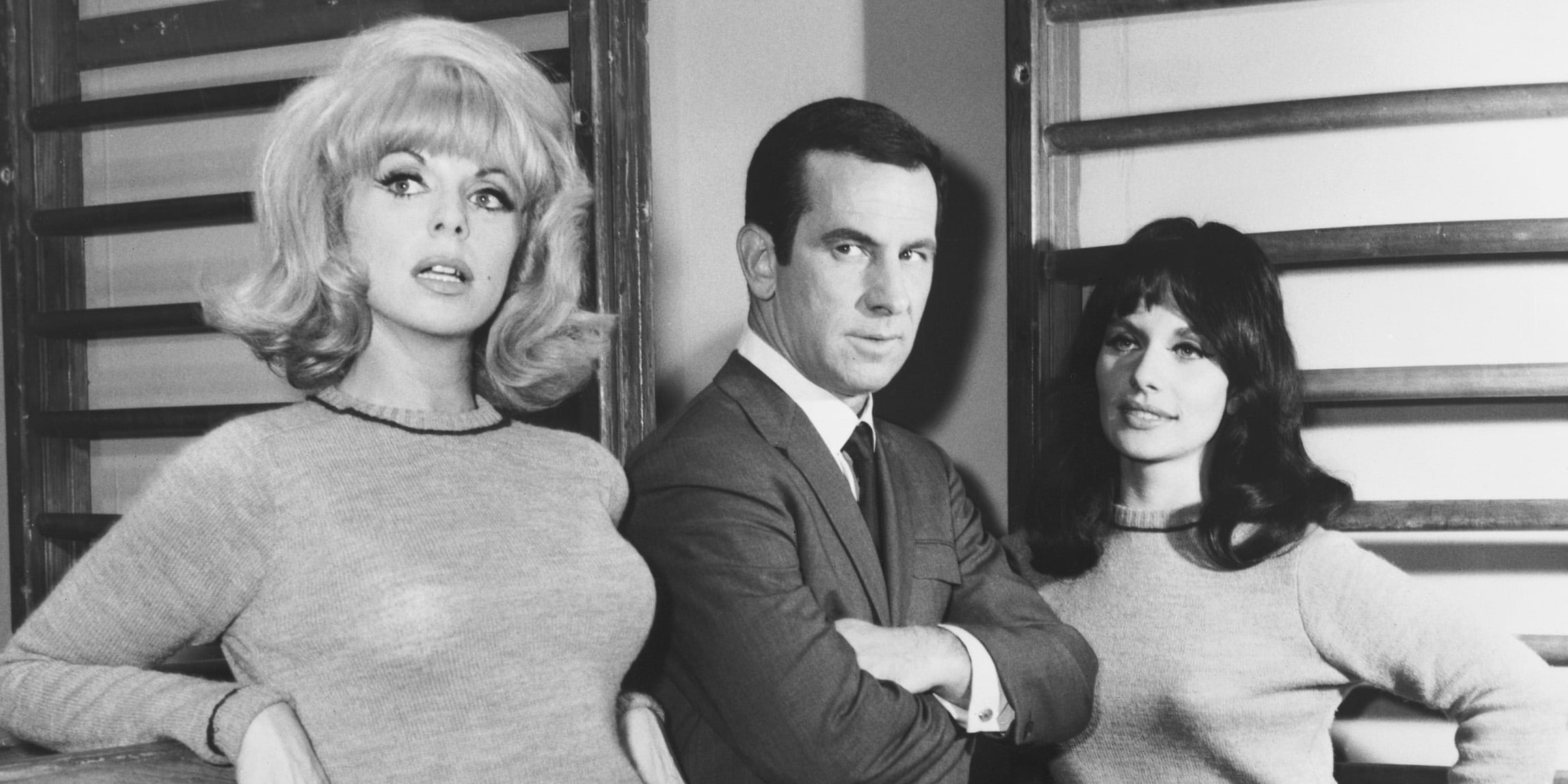 Don Adams Net Worth Net Worth Post