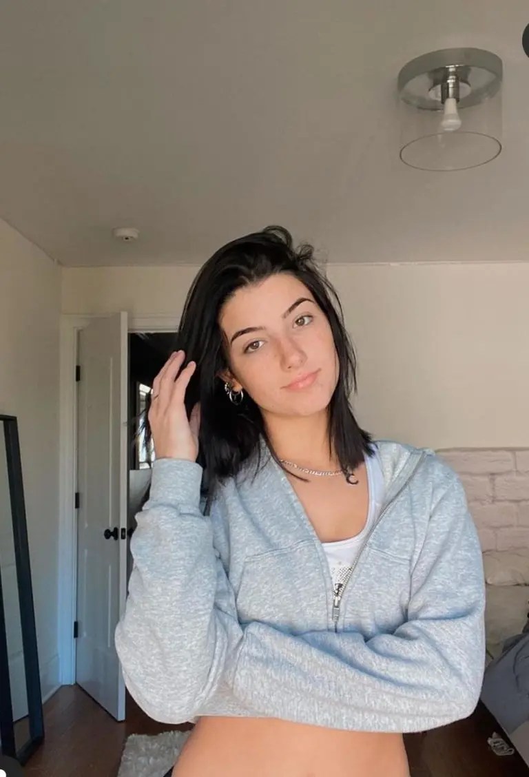 Net Worth Of Charli D'Amelio Age , Family , Boyfriend 2020