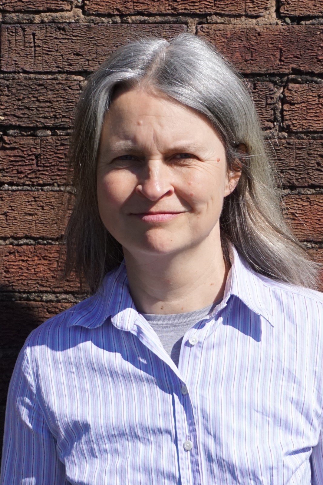 Members Wales Net Zero 2035