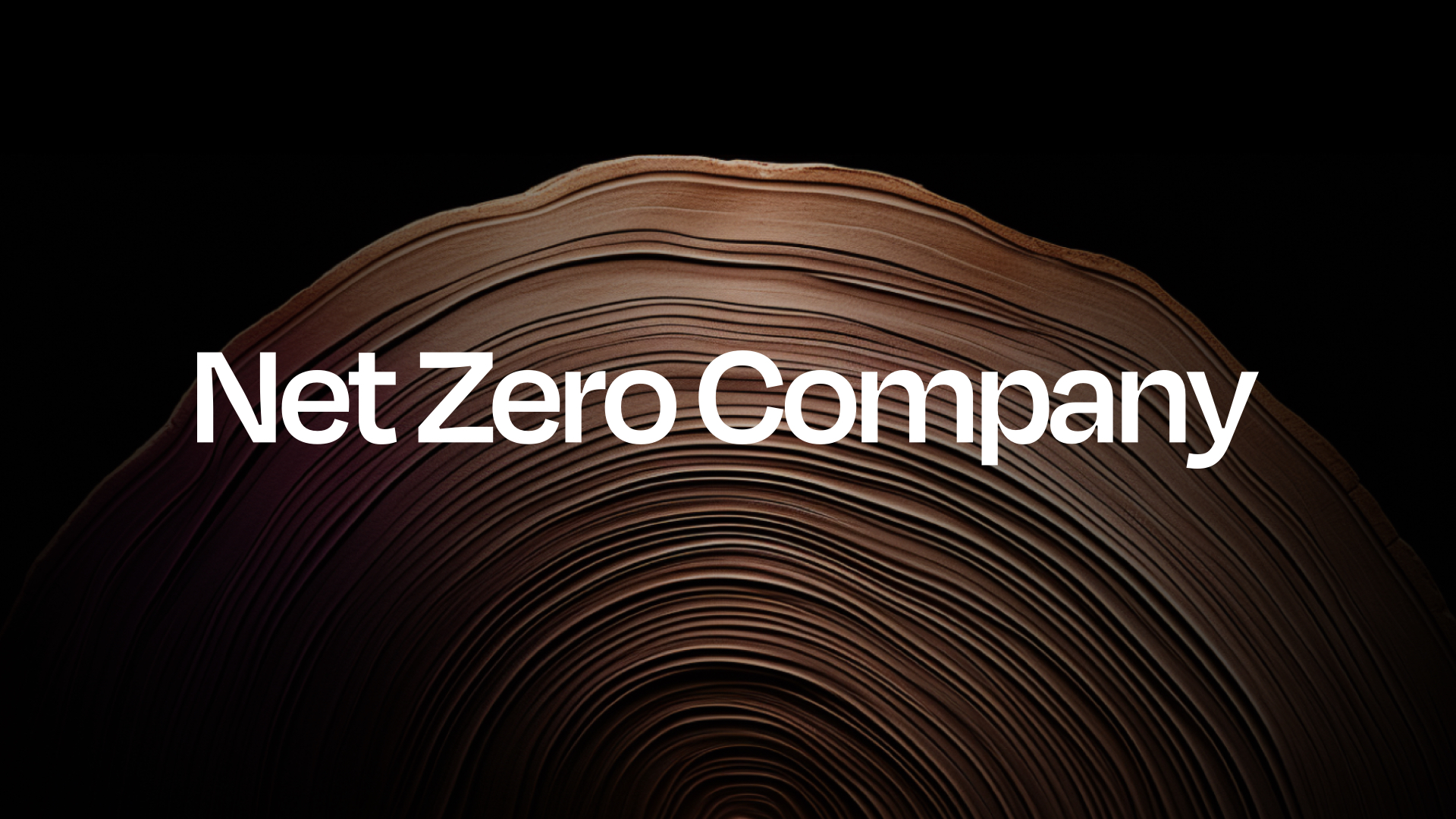 Net Zero Logo