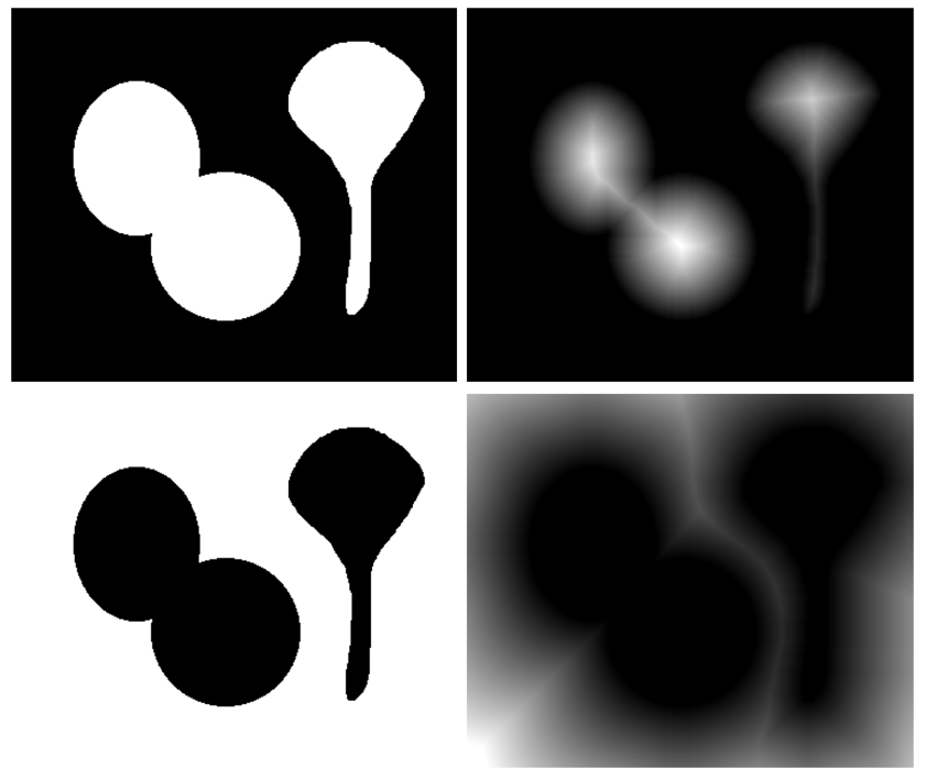 Distance transform Image Analysis Training Resources