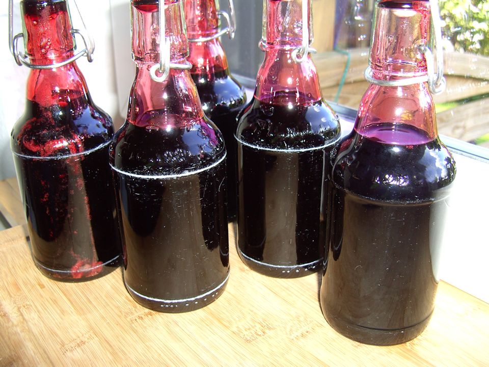 HolunderbeerenSirup Neues vom Landei