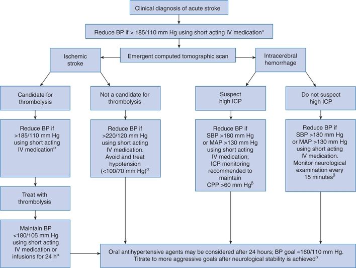 Treatment of Hypertension Drug Therapy Neupsy Key