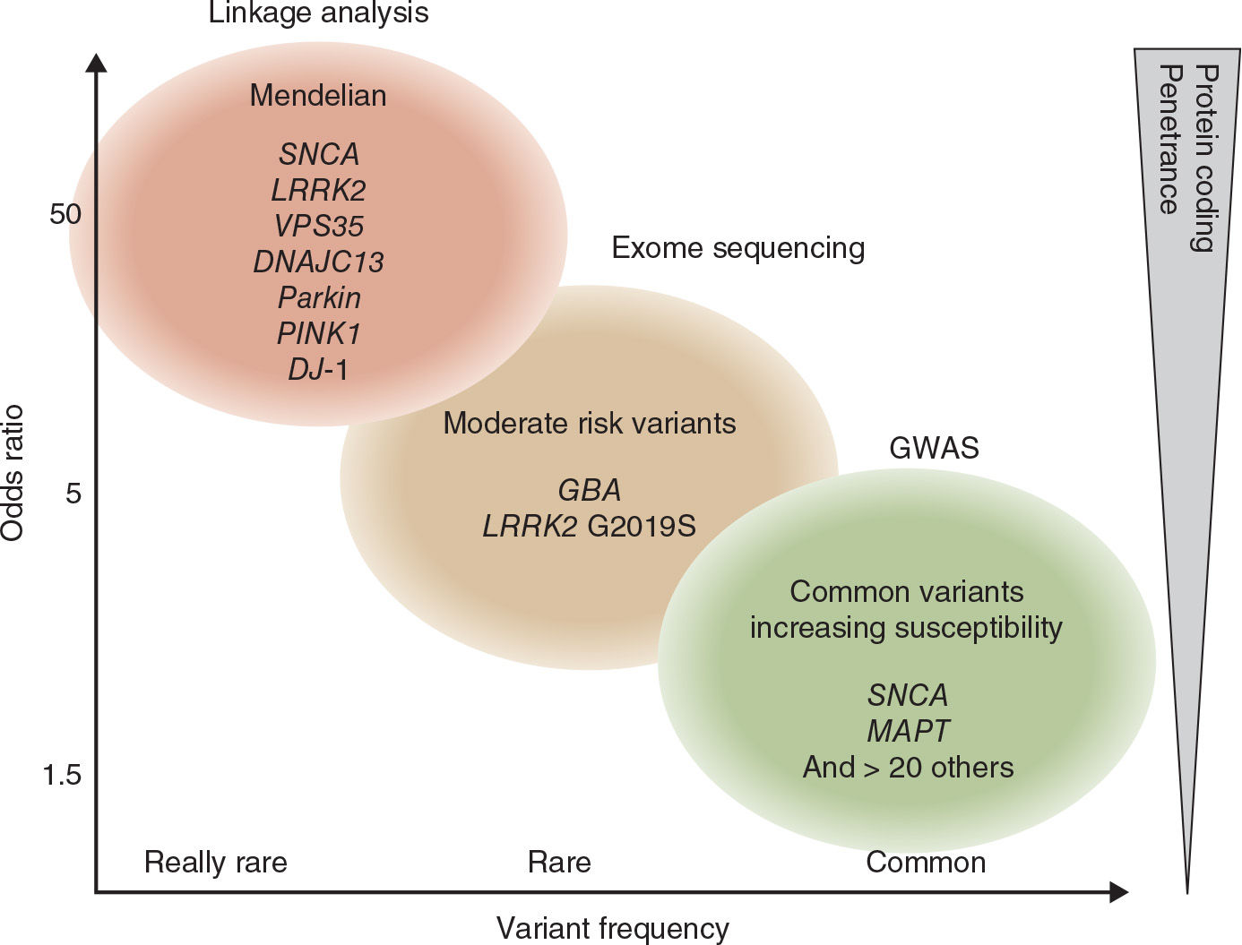 of Parkinson’s Disease Neupsy Key