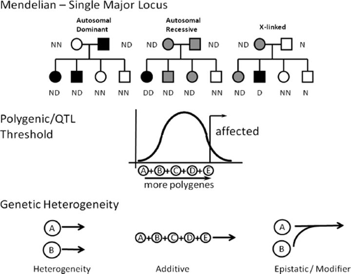 Mood Disorders Neupsy Key