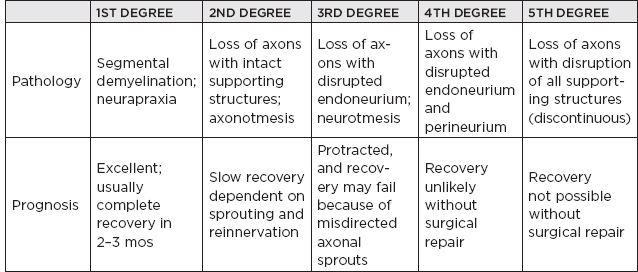 Neuromuscular Disorders Neupsy Key