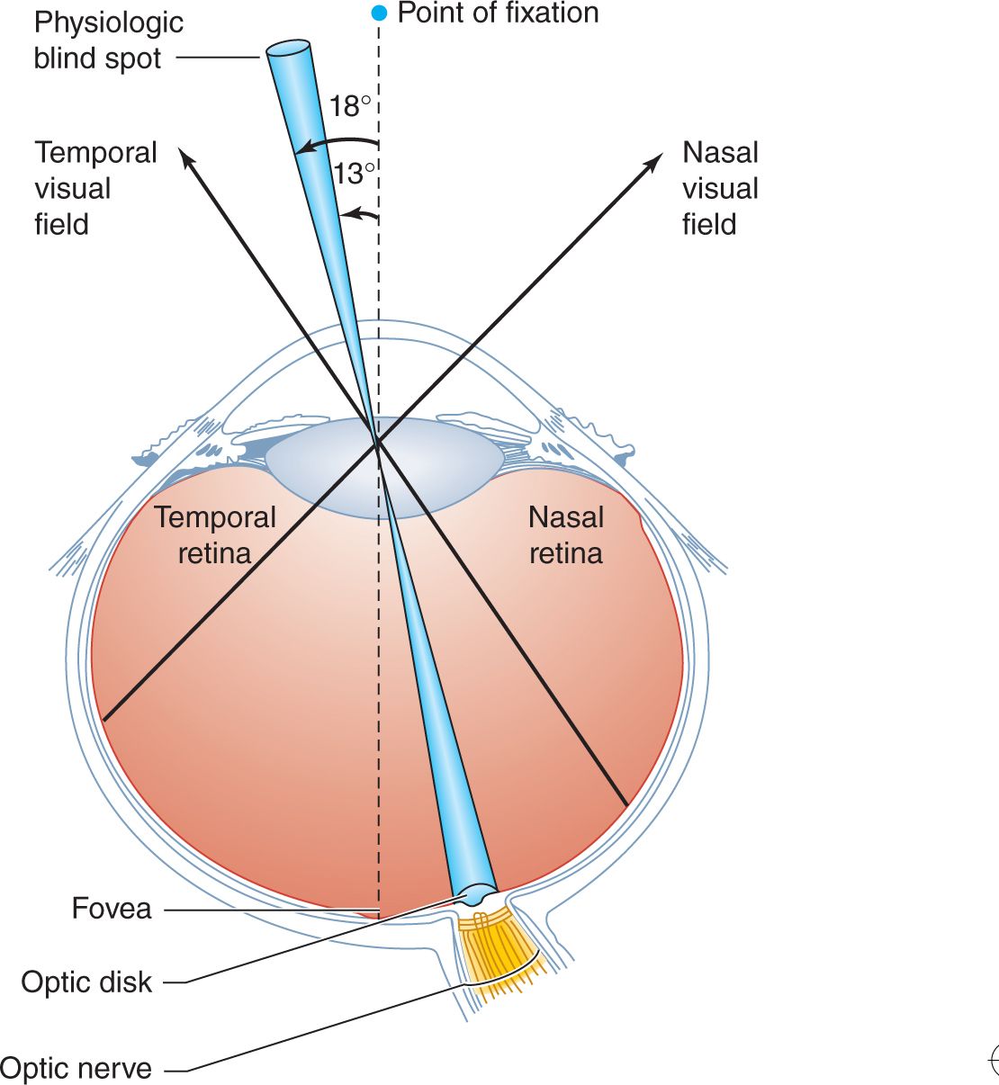 NeuroOphthalmic Disorders Neupsy Key