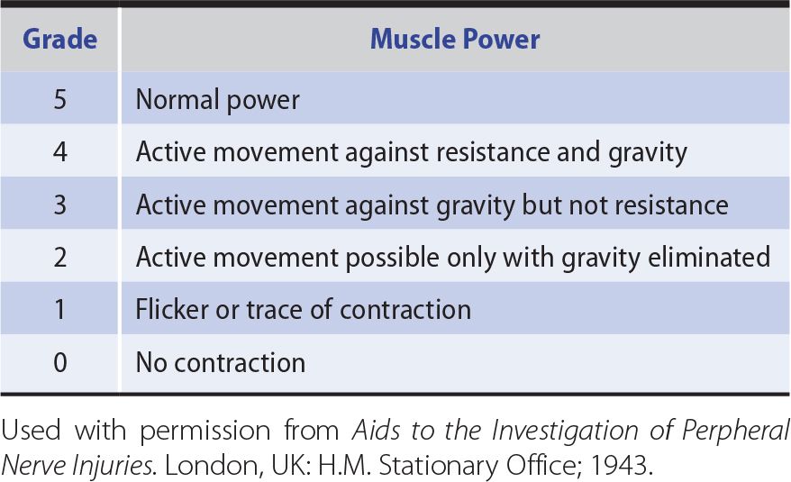 Motor Disorders Neupsy Key