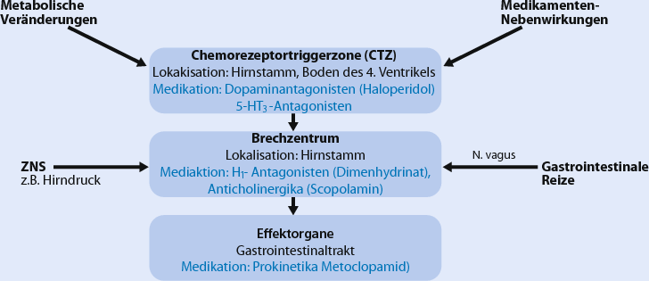 Palliativmedizin und Prognosestellung Neupsy Key