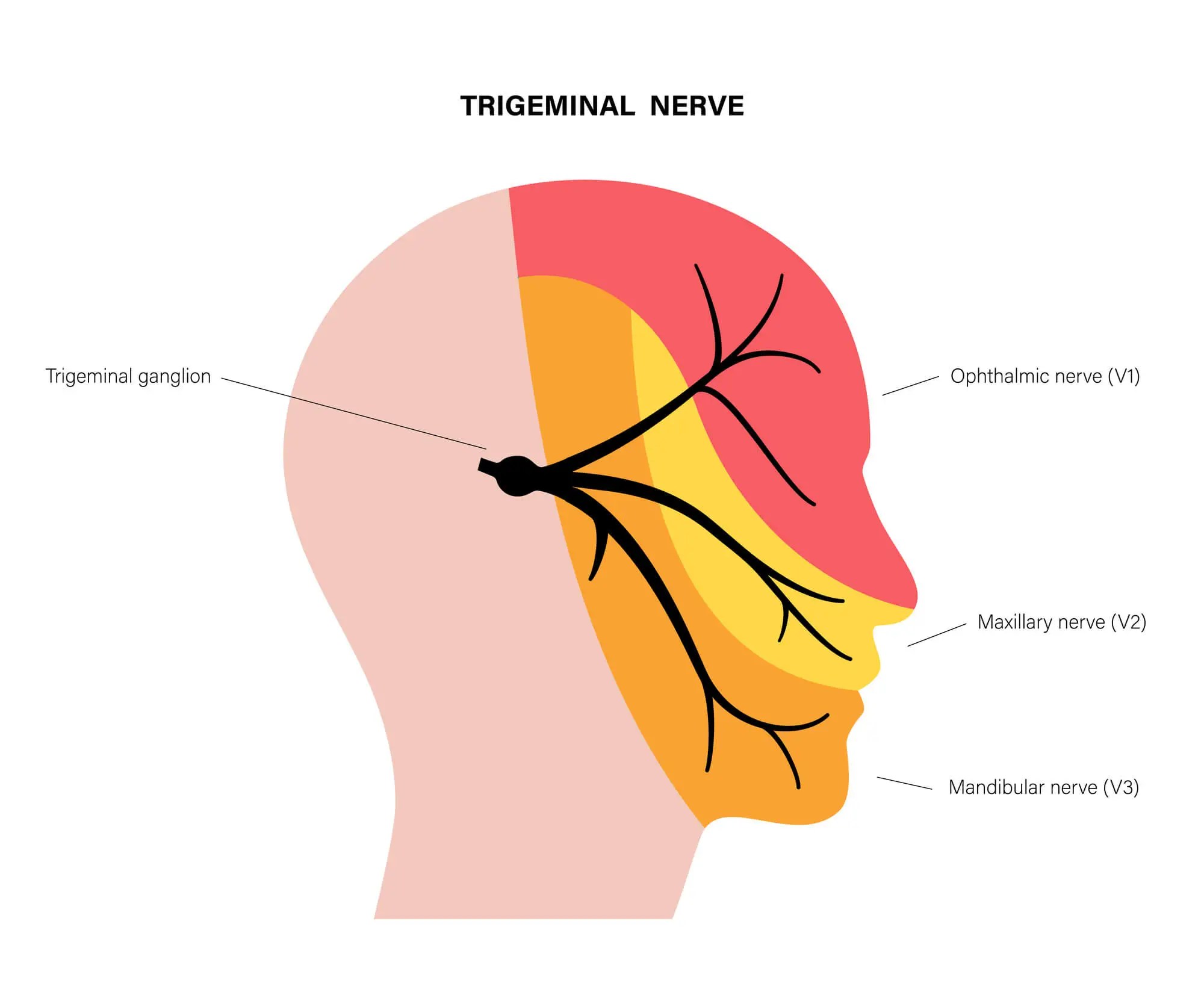 Treatment for Trigeminal Neuralgia Pain Neuragenex