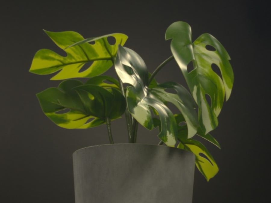 NeuralPBIR Reconstruction of Shape, Material, and Illumination