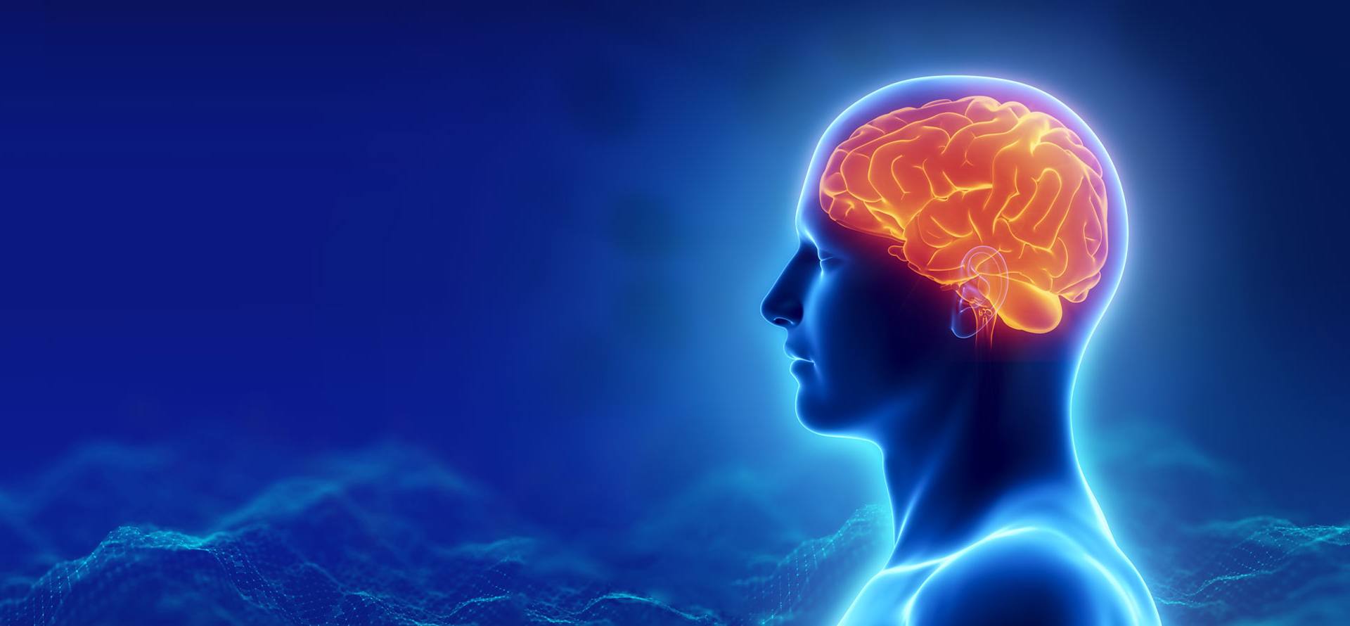 Get a Career in Neurodiagnostic Technology & Electroencephalography (EEG)