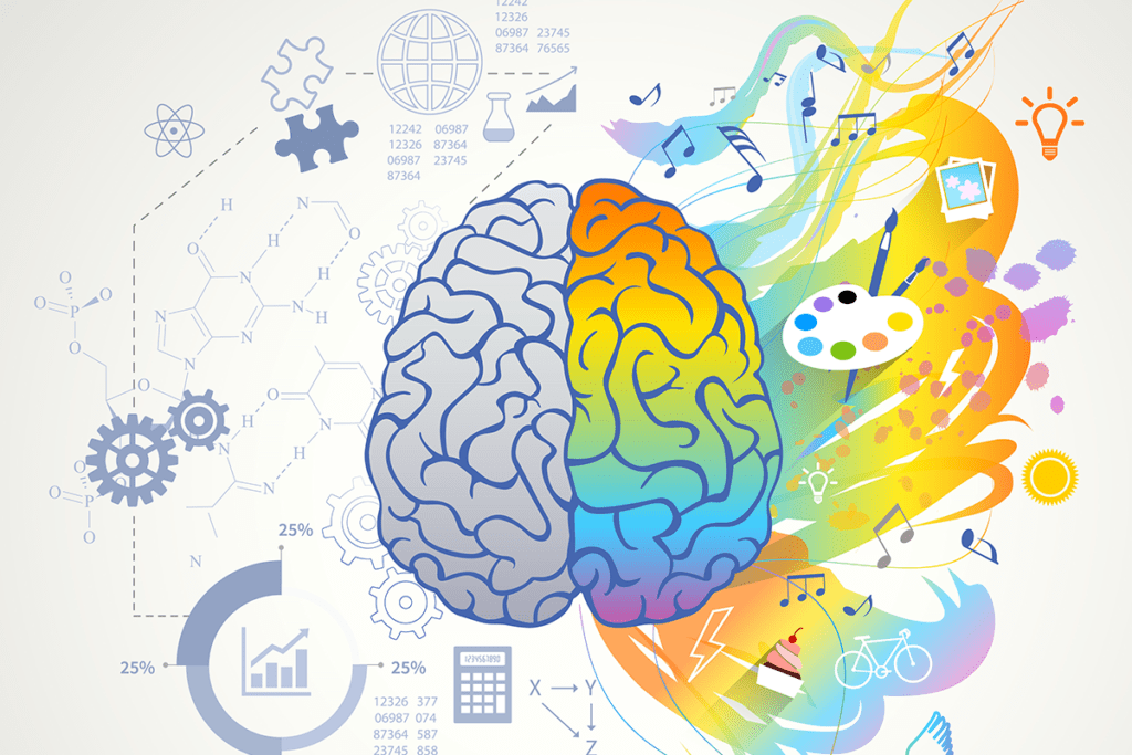 Neuropsicologã A De La Atenciã N Las Funciones Ejecutivas Y La.