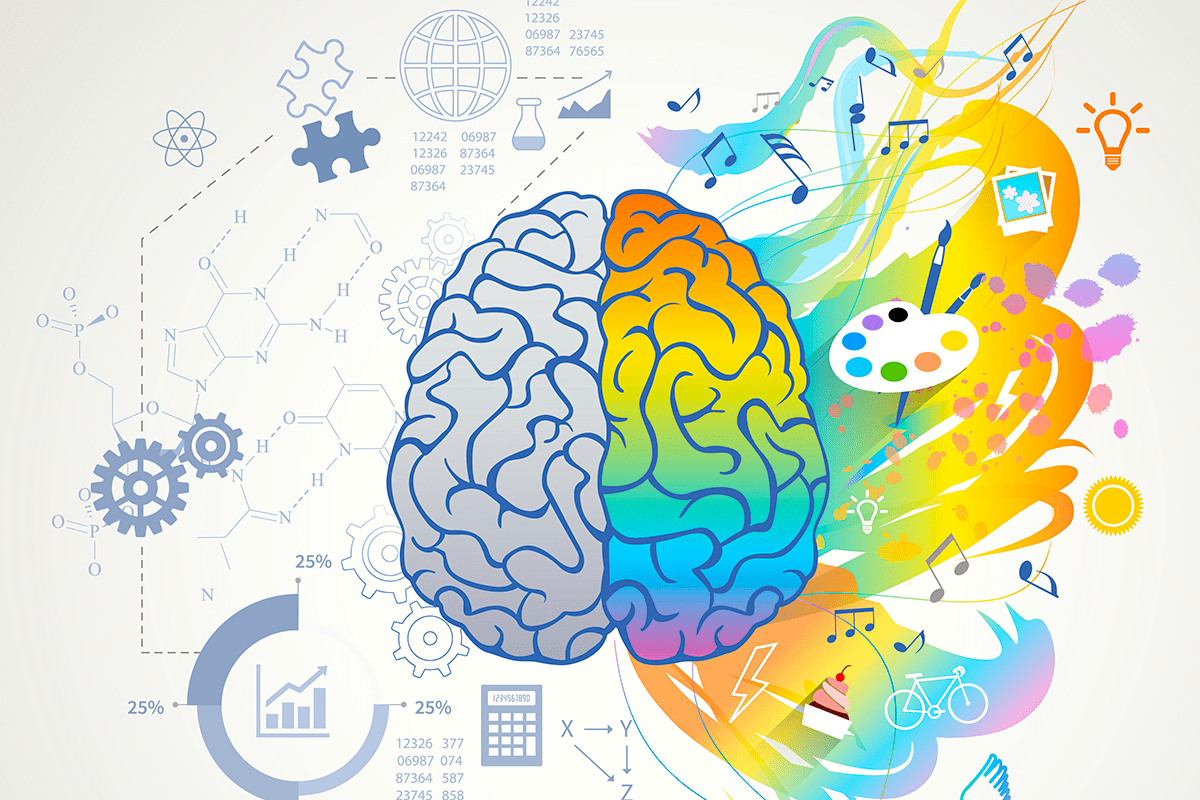 ¿Qué son las funciones cognitivas? Neuronab