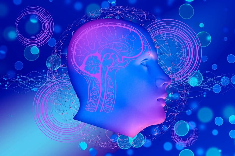 How The 'Noise' In Our Brain Influences Our Behavior Faculty of Medicine