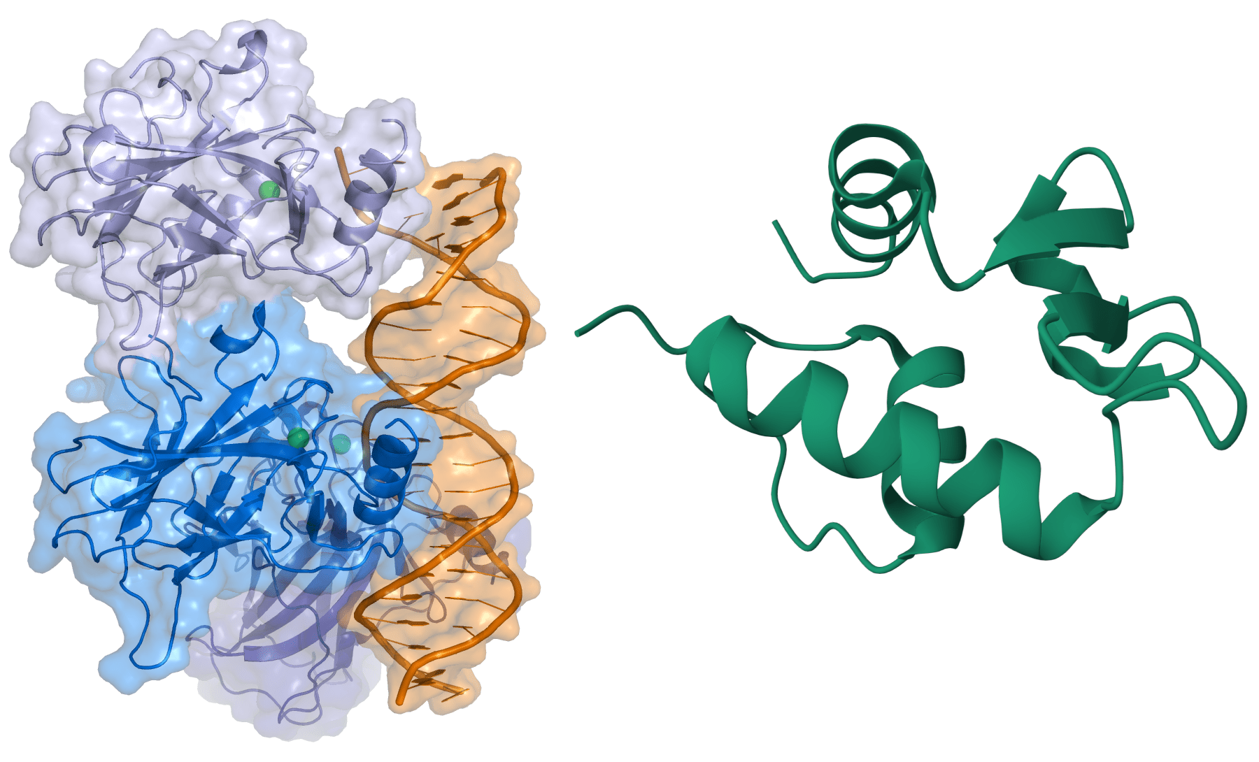 ProteinProtein Docking Simplified Illuminating the Mechanics of